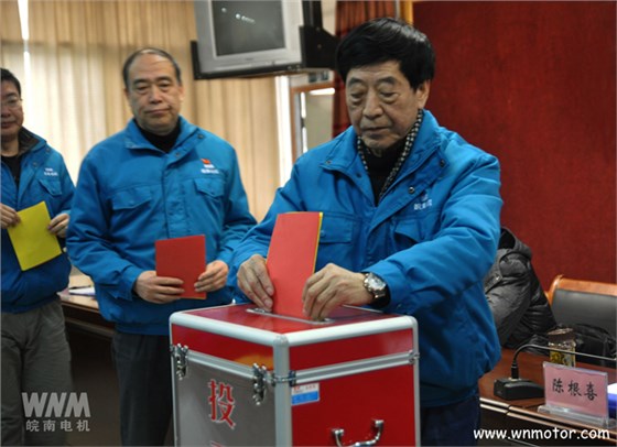 皖南電機陳根喜、管兵在投票現(xiàn)場