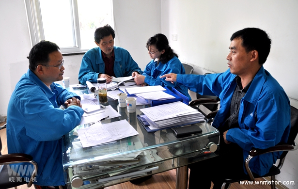 皖南電機|內審 皖南電機|內審