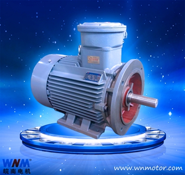 節(jié)能防爆電機(jī) 節(jié)能防爆電機(jī)